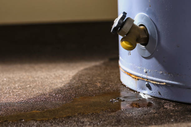 Best Flood restoration services  in Cape Canaveral, FL