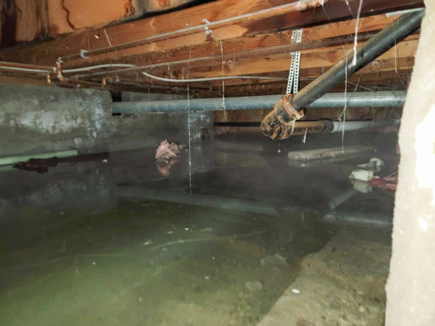 Best Local water damage restoration  in Cape Canaveral, FL