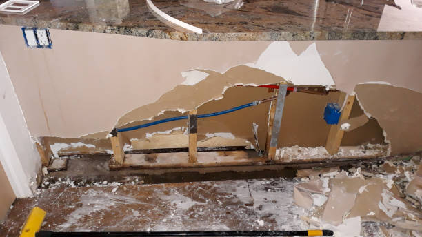Best Mold removal after water damage  in Cape Canaveral, FL
