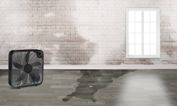 Best Commercial water damage restoration  in Cape Canaveral, FL